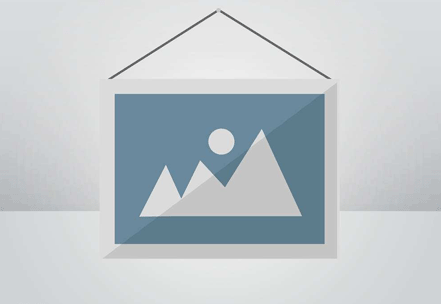 <strong>國資委主任張玉卓：做強做優(yōu)做大國有企業(yè)和國有資本</strong>